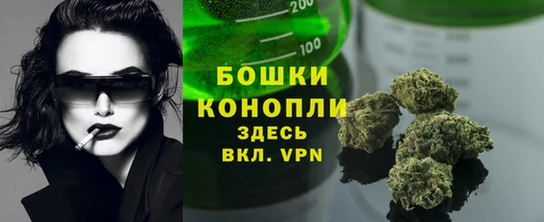 сатива Верхний Тагил