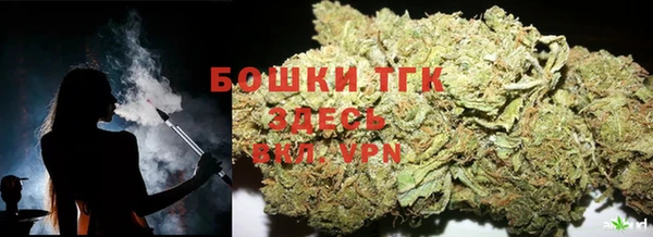сатива Верхний Тагил