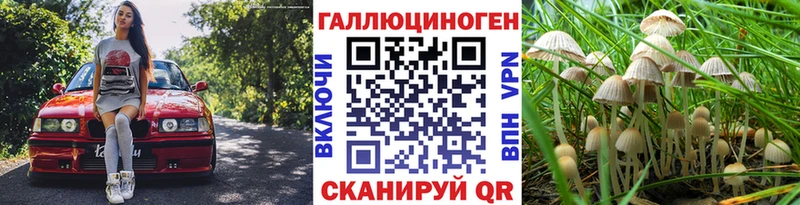 Купить где  Володарск  Псилоцибиновые грибы Cubensis 